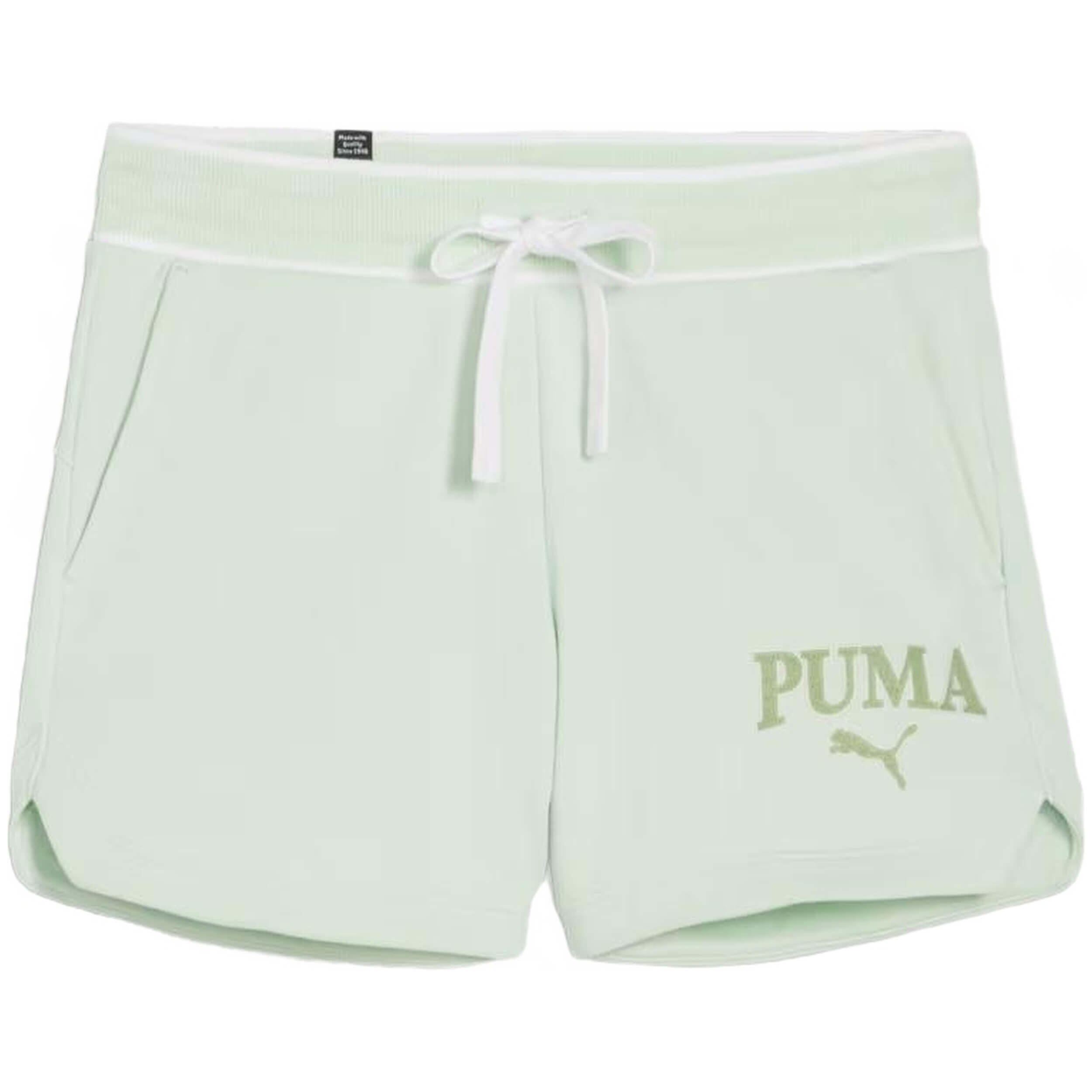 PUMA picture