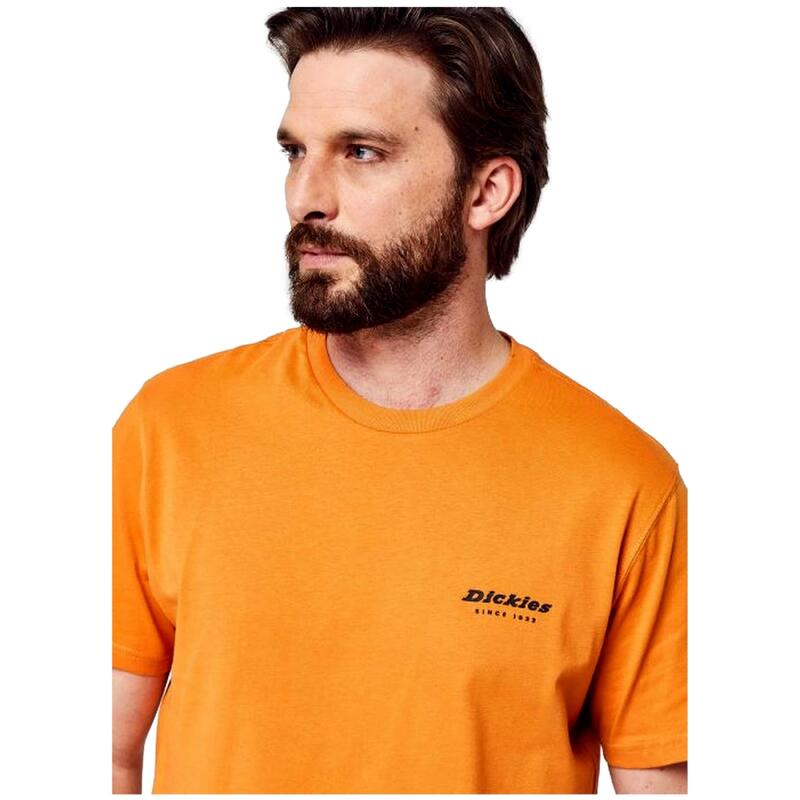 T-shirts & Polos homme Dickies gris