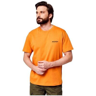 Camiseta de manga corta Dickies para hombre