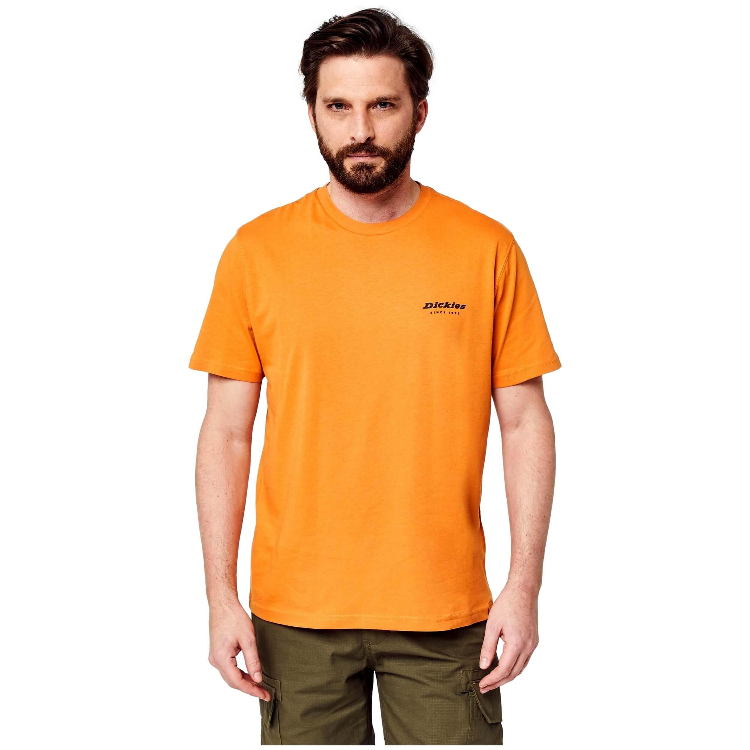 T-shirt Dickies modelo DK0A4XNY-DKC38 para homem 5/5