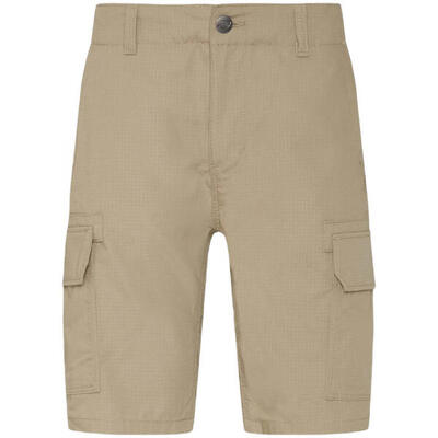 Korte broek dickies millerville cargo short voor mannen