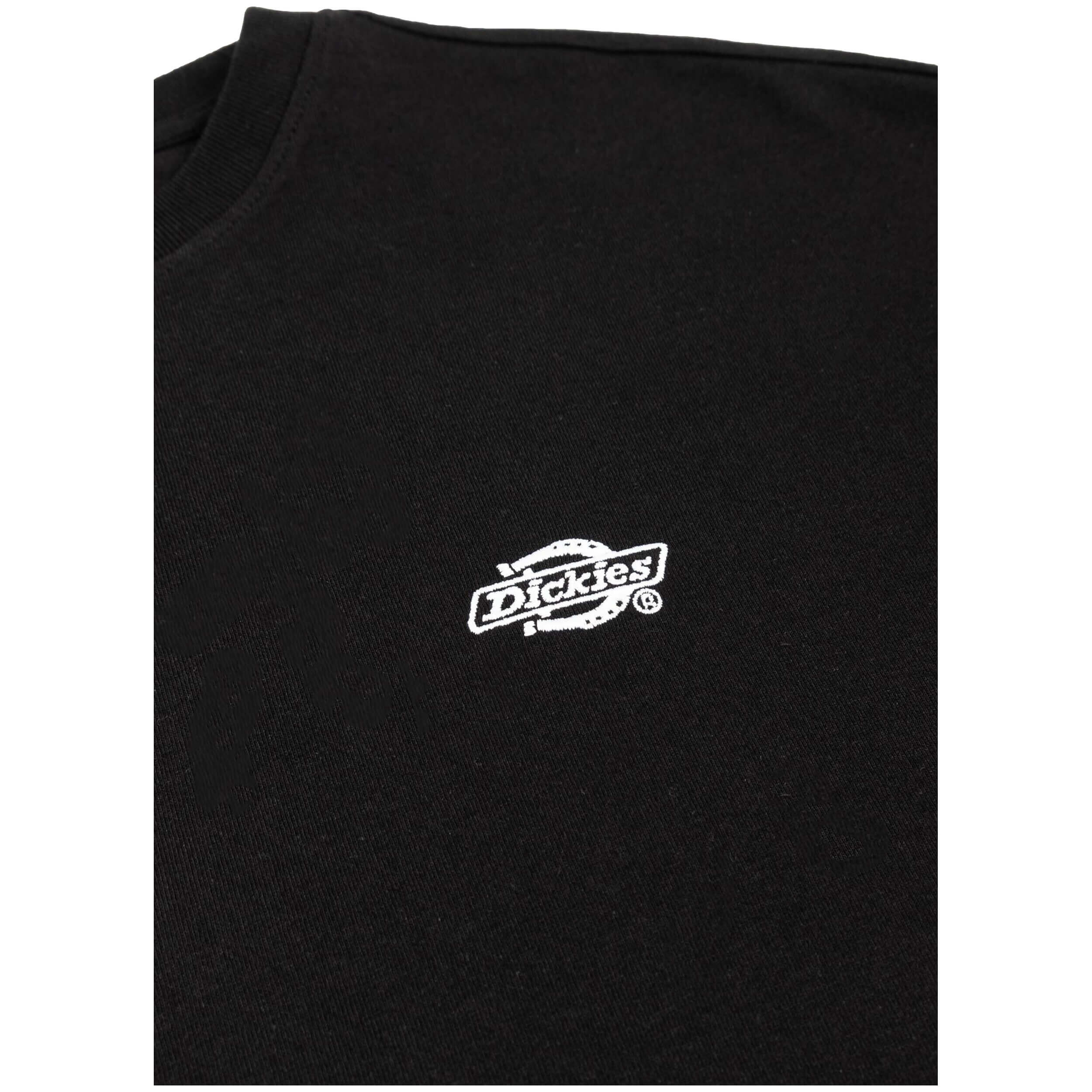 T-shirt Dickies Summerdale pour homme 5/5