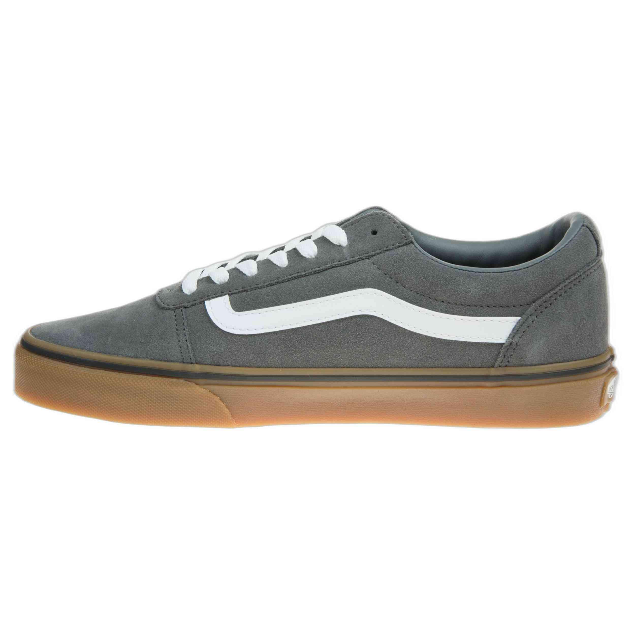 VANS picture