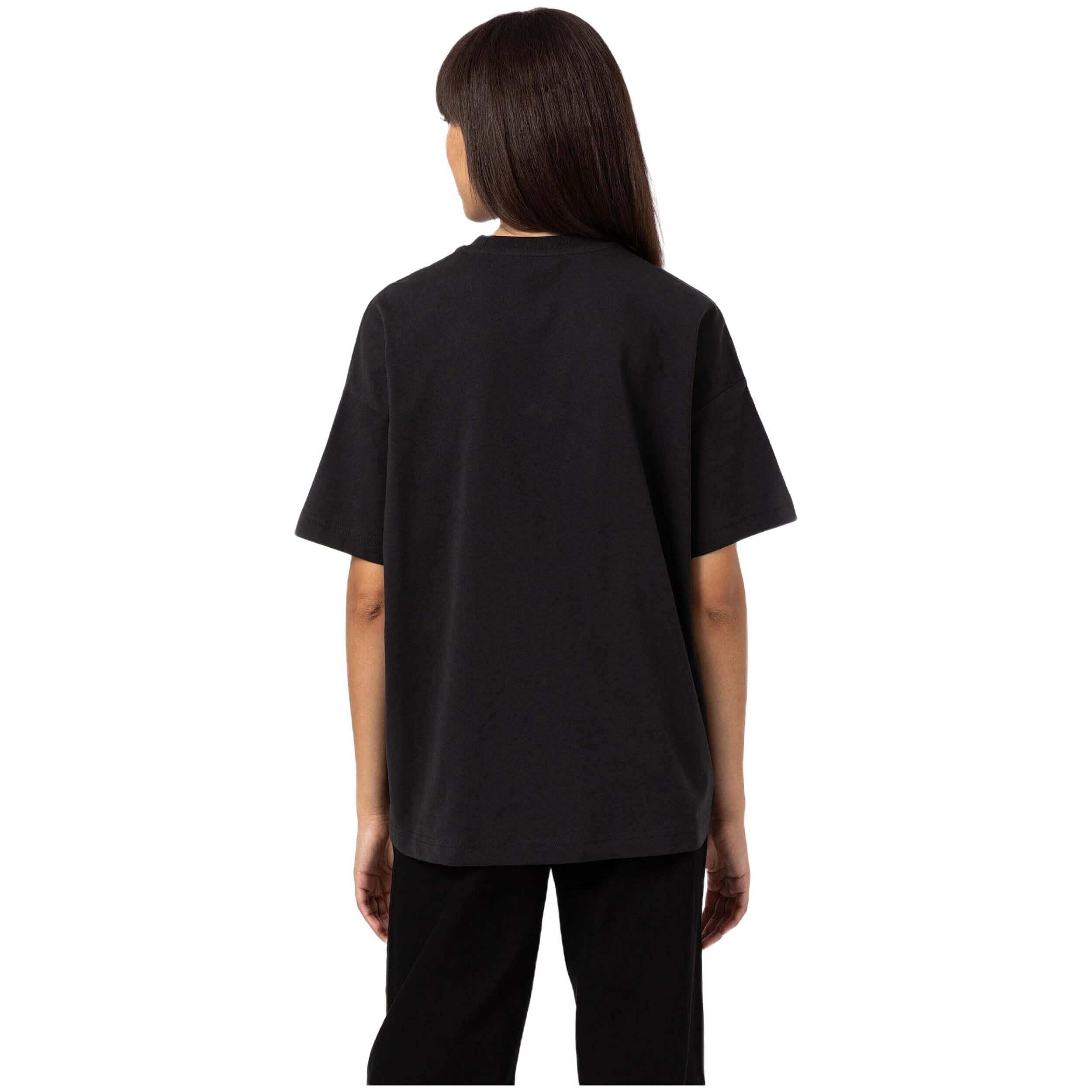 T-shirt Dickies Summerdale pour homme 2/5