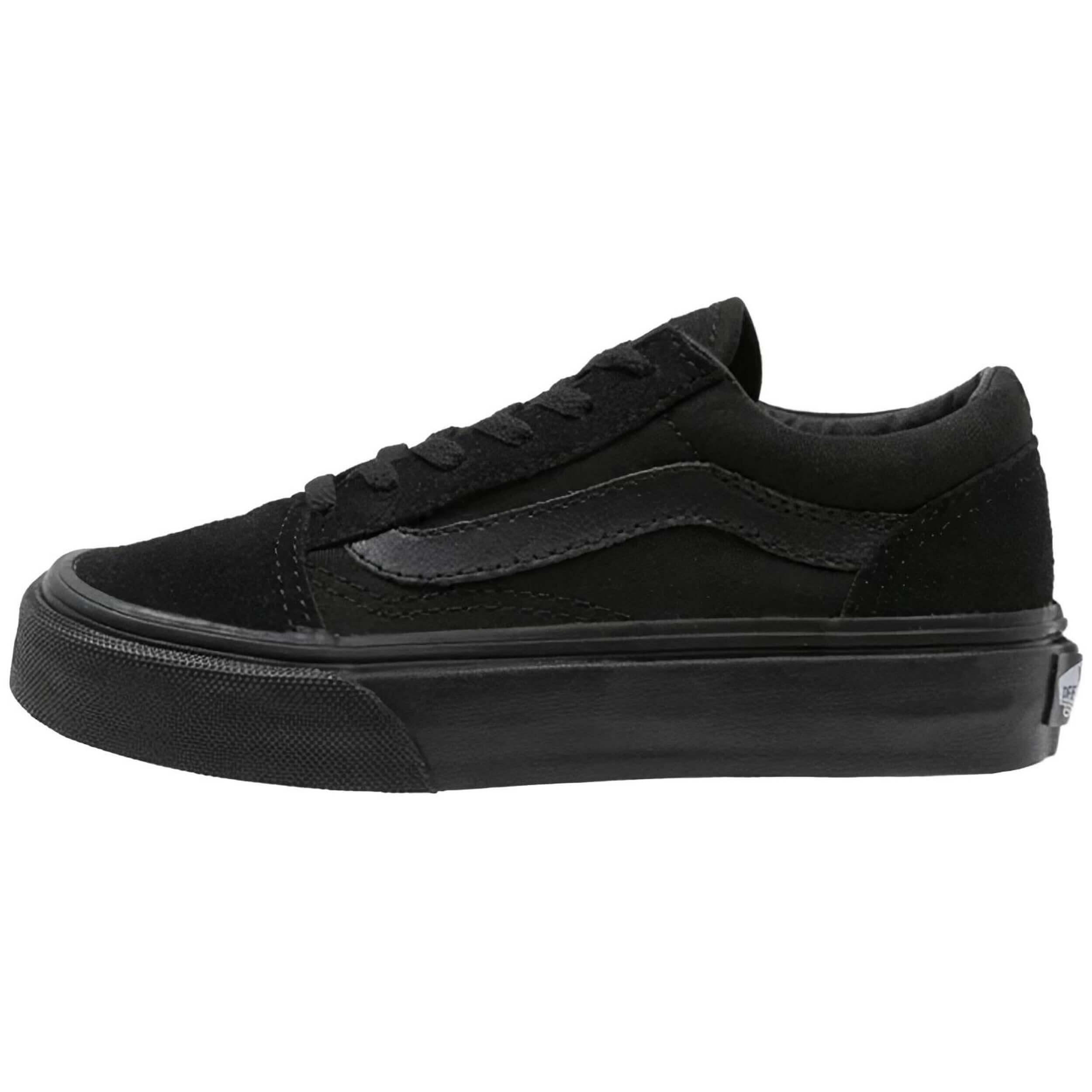 VANS picture