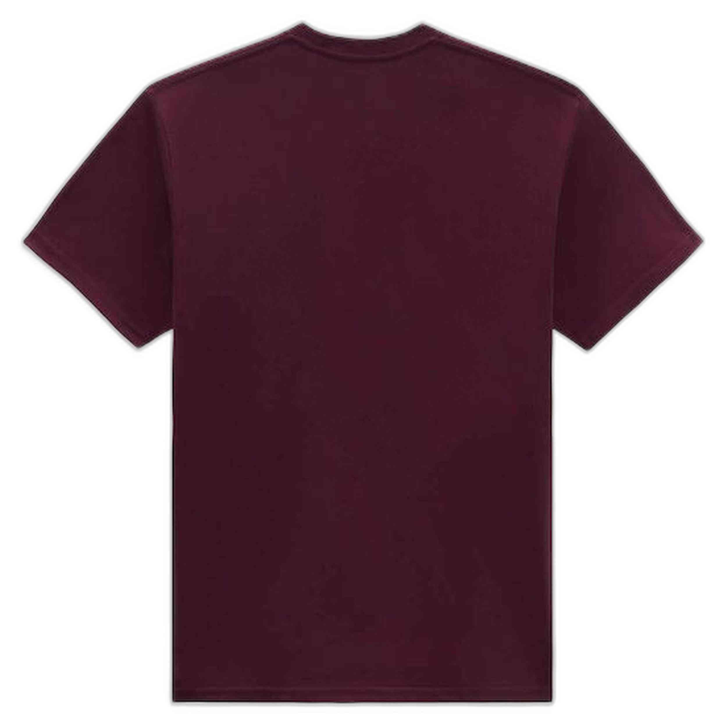 T-shirt met korte mouwen Vans model VN000FJSBRG voor mannen 2/2