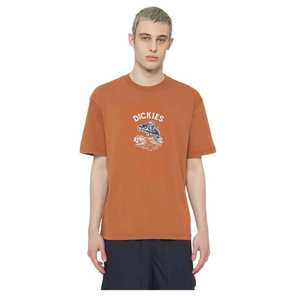 T-shirt Dickies model DK0A4YR8H161 for man