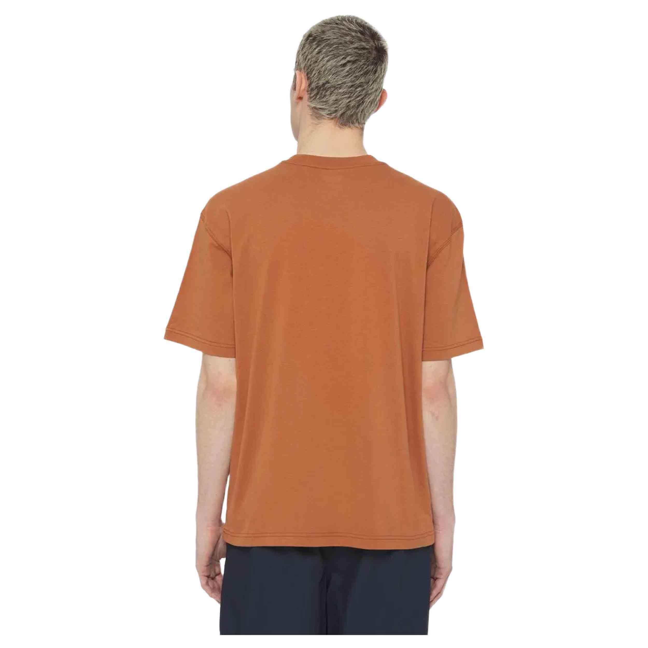 T-shirt Dickies modèle DK0A4YR8H161 pour homme 2/2