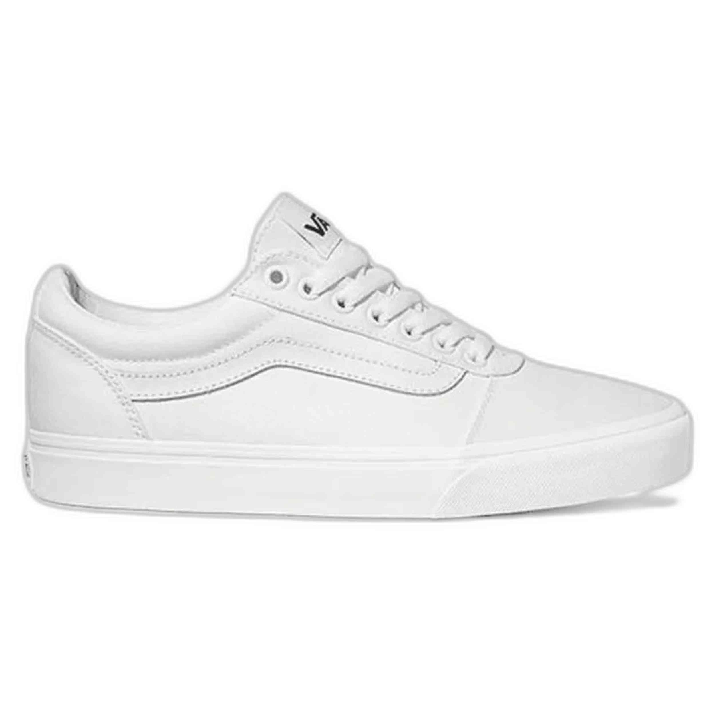 VANS picture