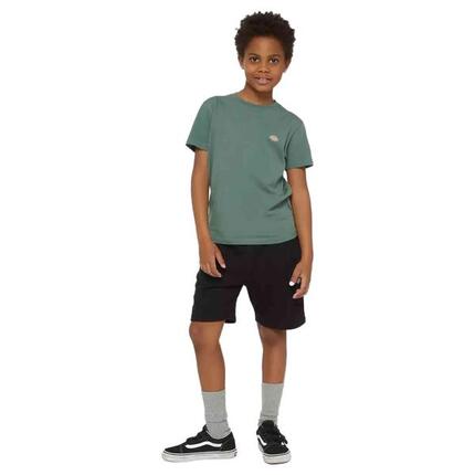 Short Dickies Mapleton pour homme