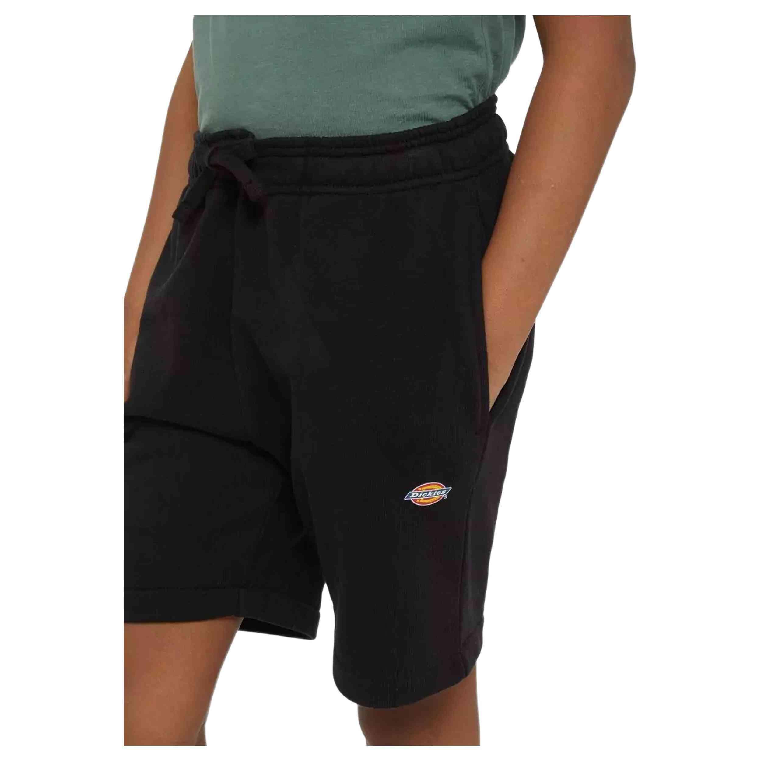 Korte broek Dickies Mapleton voor mannen 2/3