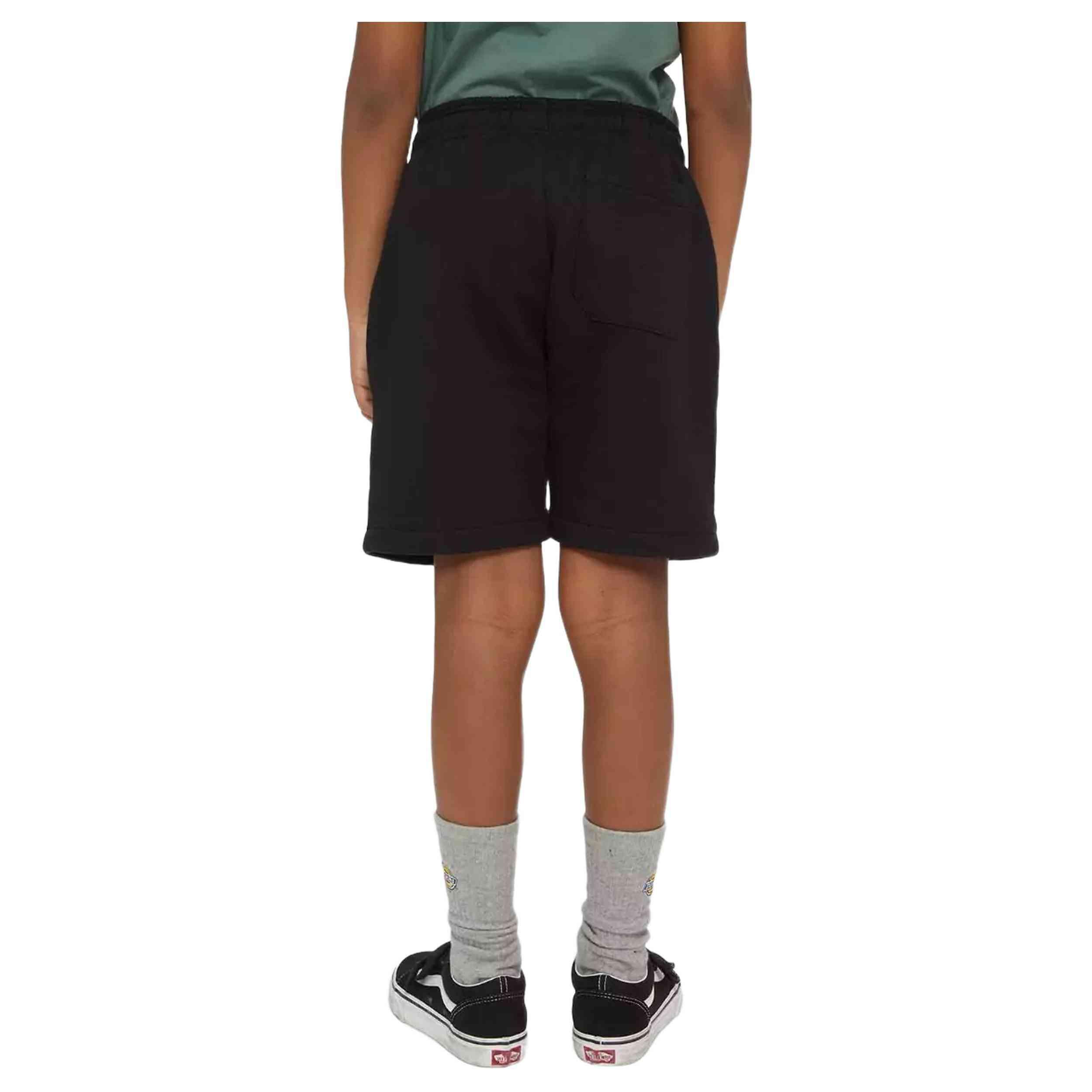 Korte broek Dickies Mapleton voor mannen 3/3