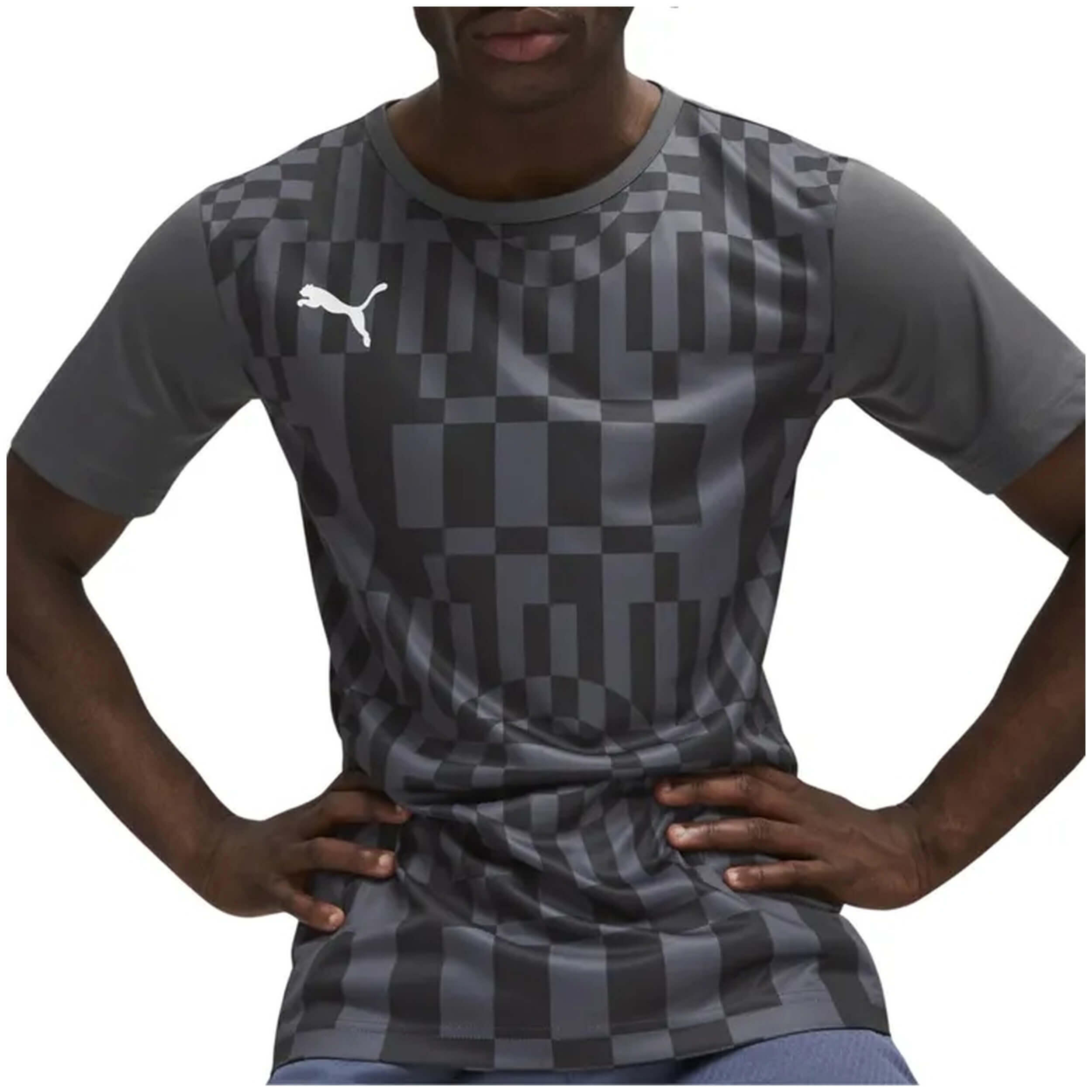 PUMA picture