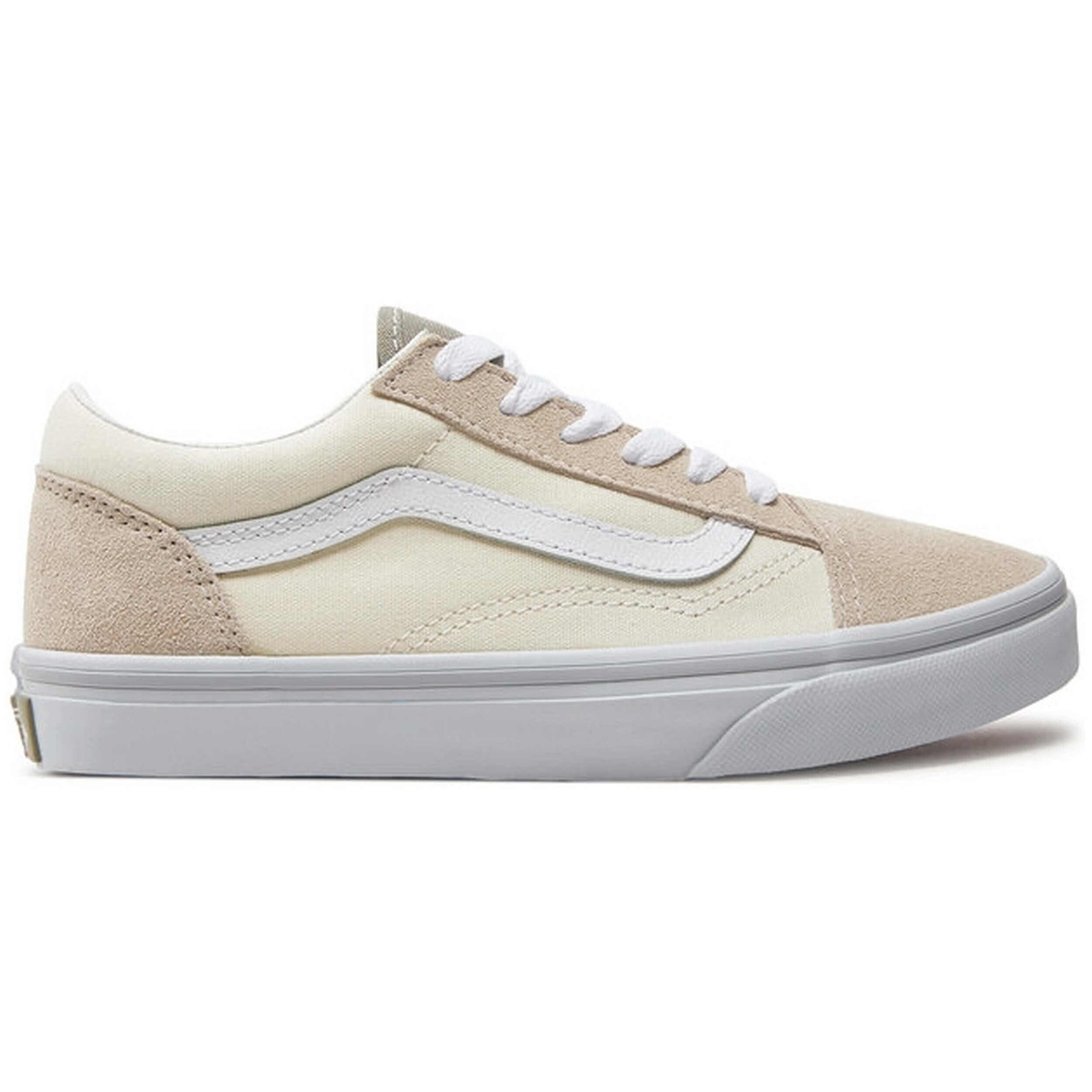 VANS picture