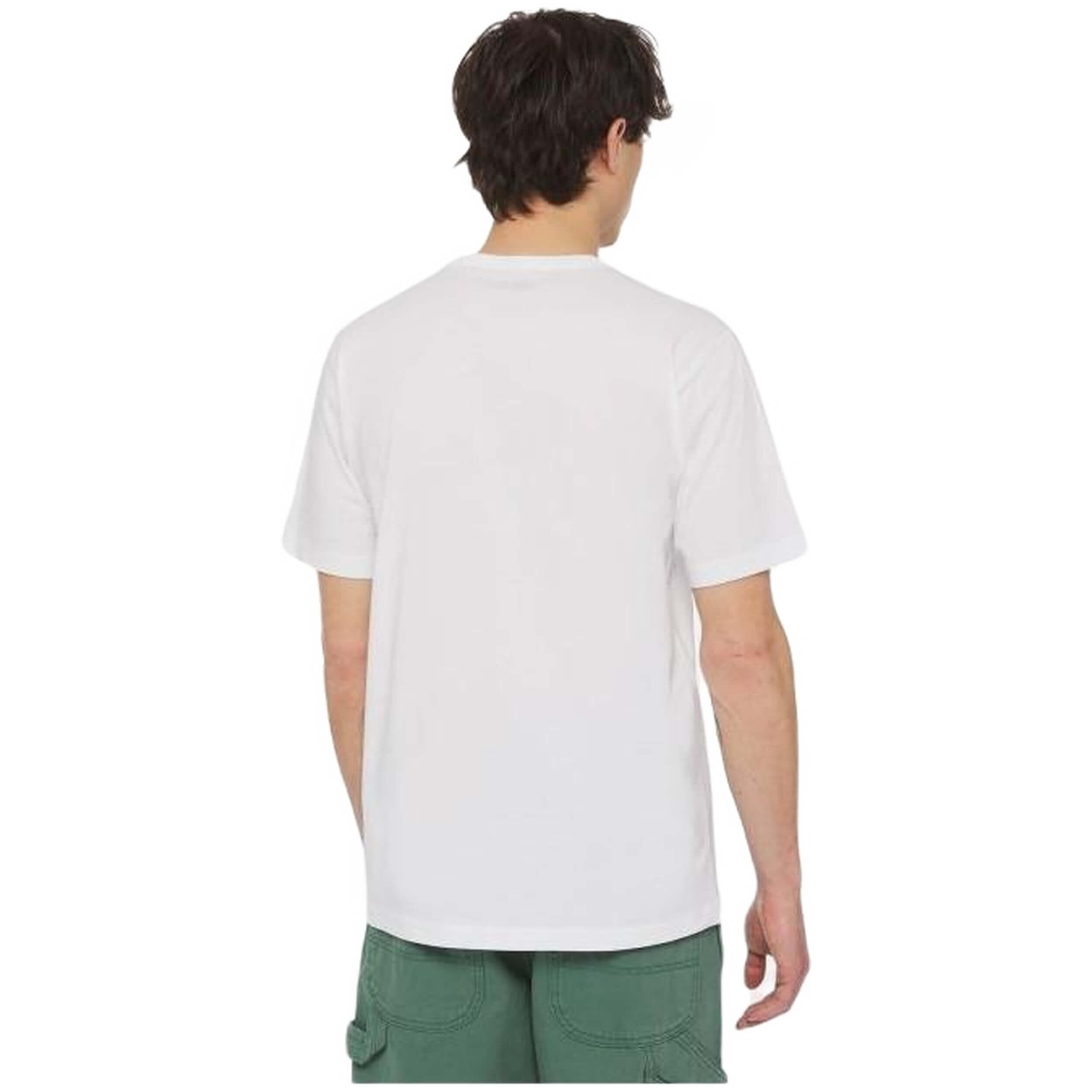 T-shirt Dickies modèle DK0A4X9FJ401 pour homme 2/2