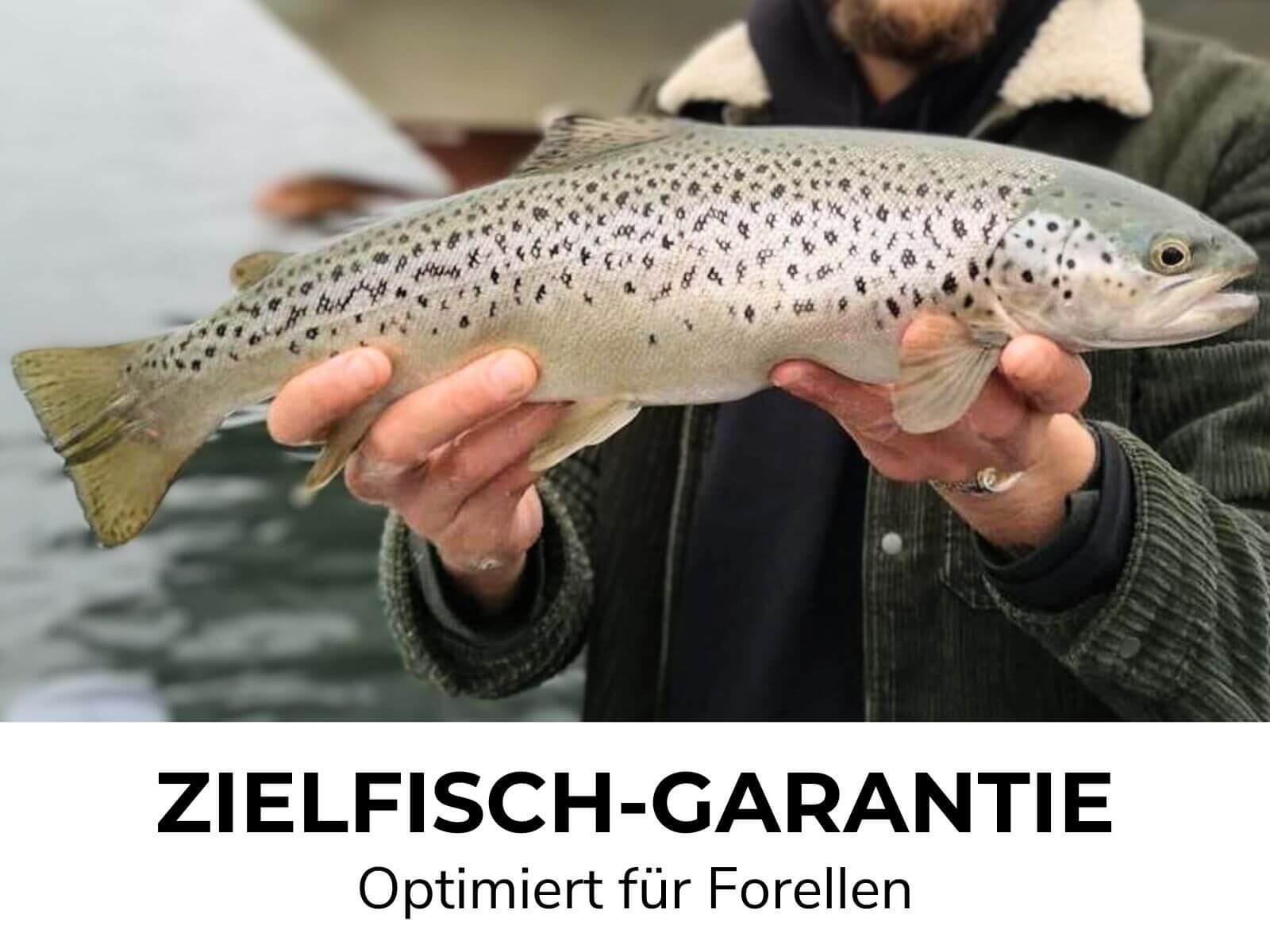TROUT GO KIT 2 - FORELLEN STARTER COMBO 3/3