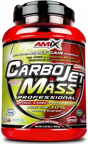 AMIX Carbojet mass professional - 3kg Frutas do Bosque da Amix Nutrition