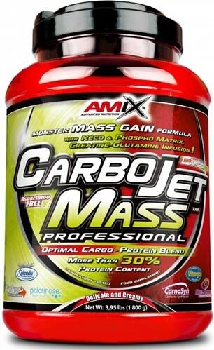 AMIX Carbojet mass professional - 3kg Chocolate da Amix Nutrition