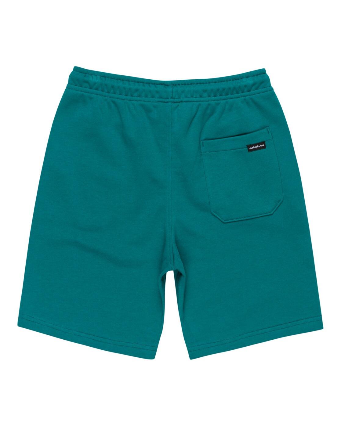 Short à taille élastique EASY DAY Bleu Garçon 2/3