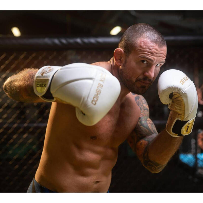 Boxerské rukavice DBX BUSHIDO B-2v19