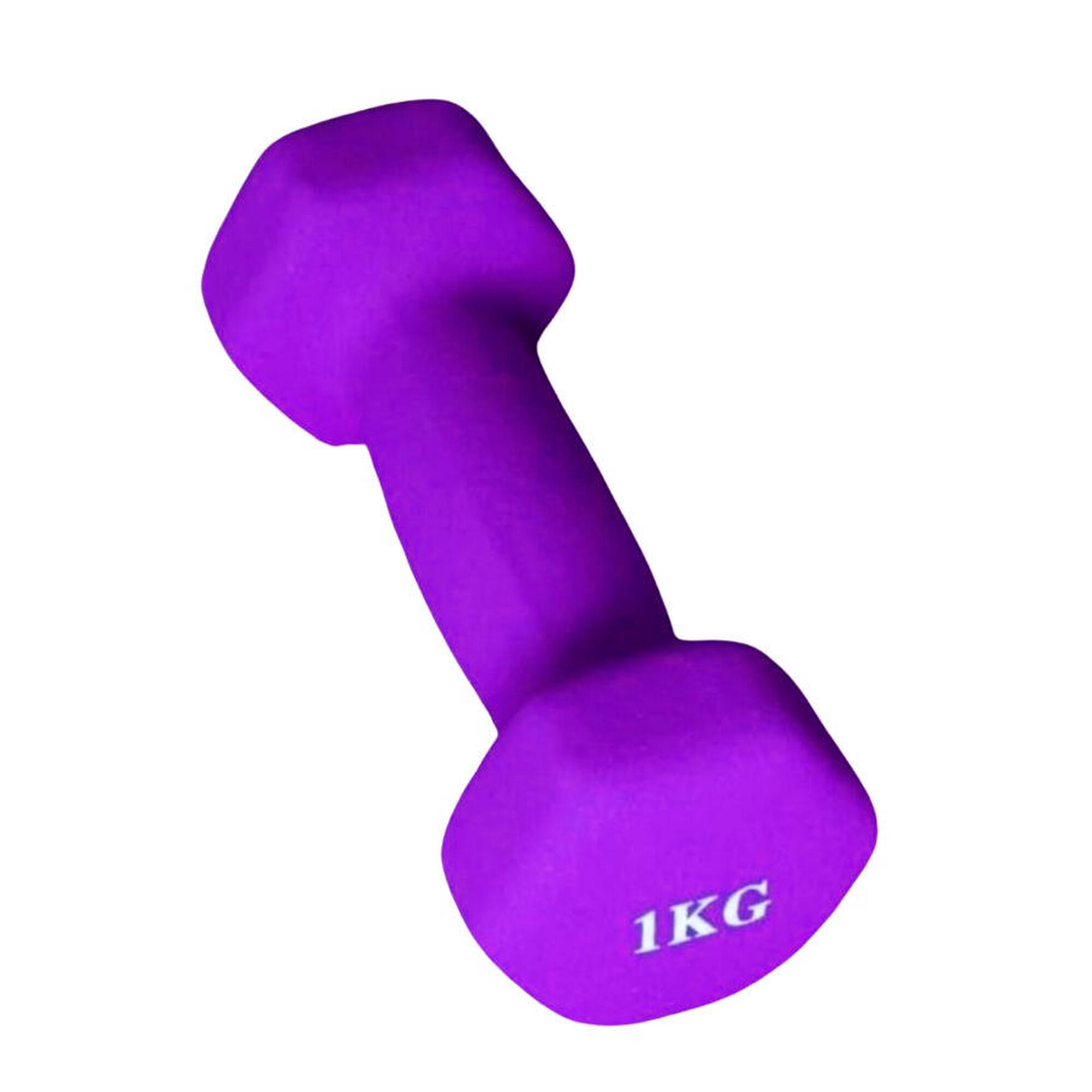 Hantelka 1 kg X-sport- fioletowy