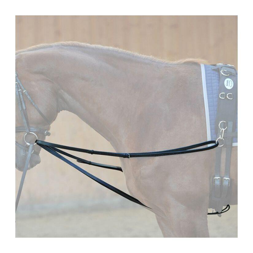 Reins Kavalkade Philip 2/4