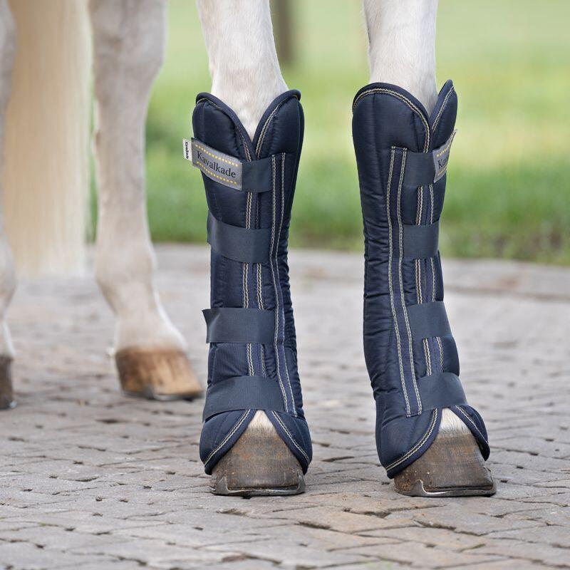 Front carrying gaiters for horses Kavalkade Montreal 2/4