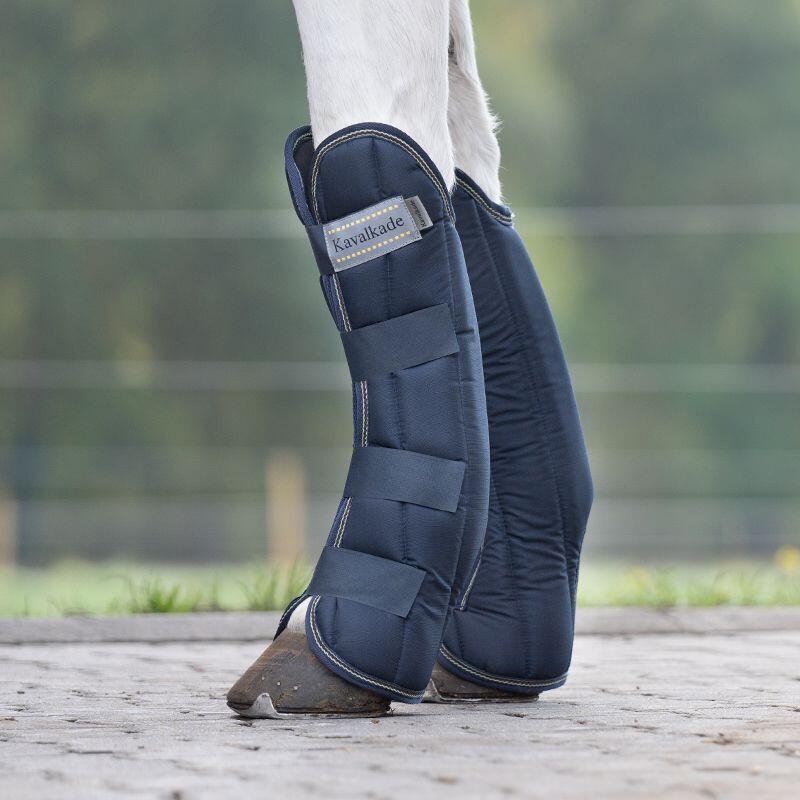 Front carrying gaiters for horses Kavalkade Montreal 3/4