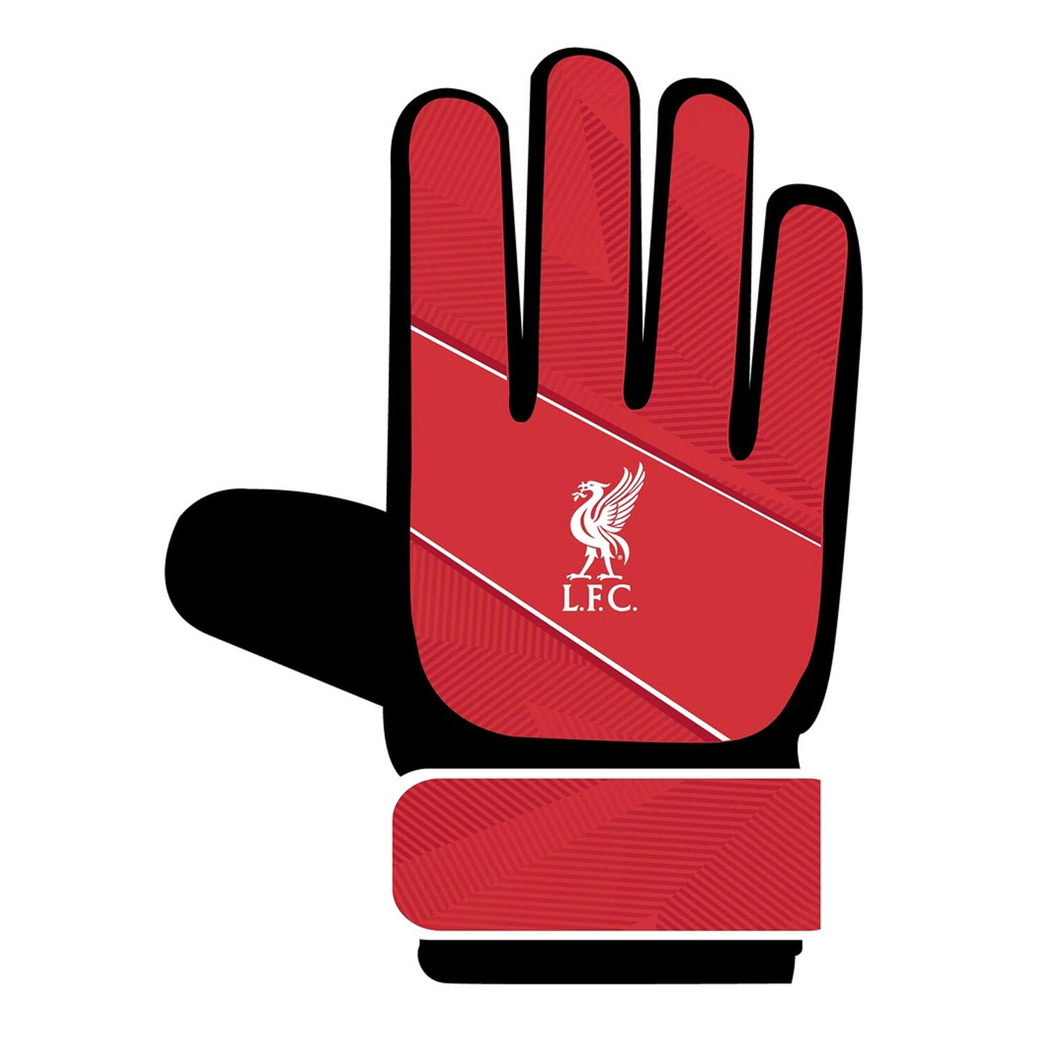 LIVERPOOL FC picture