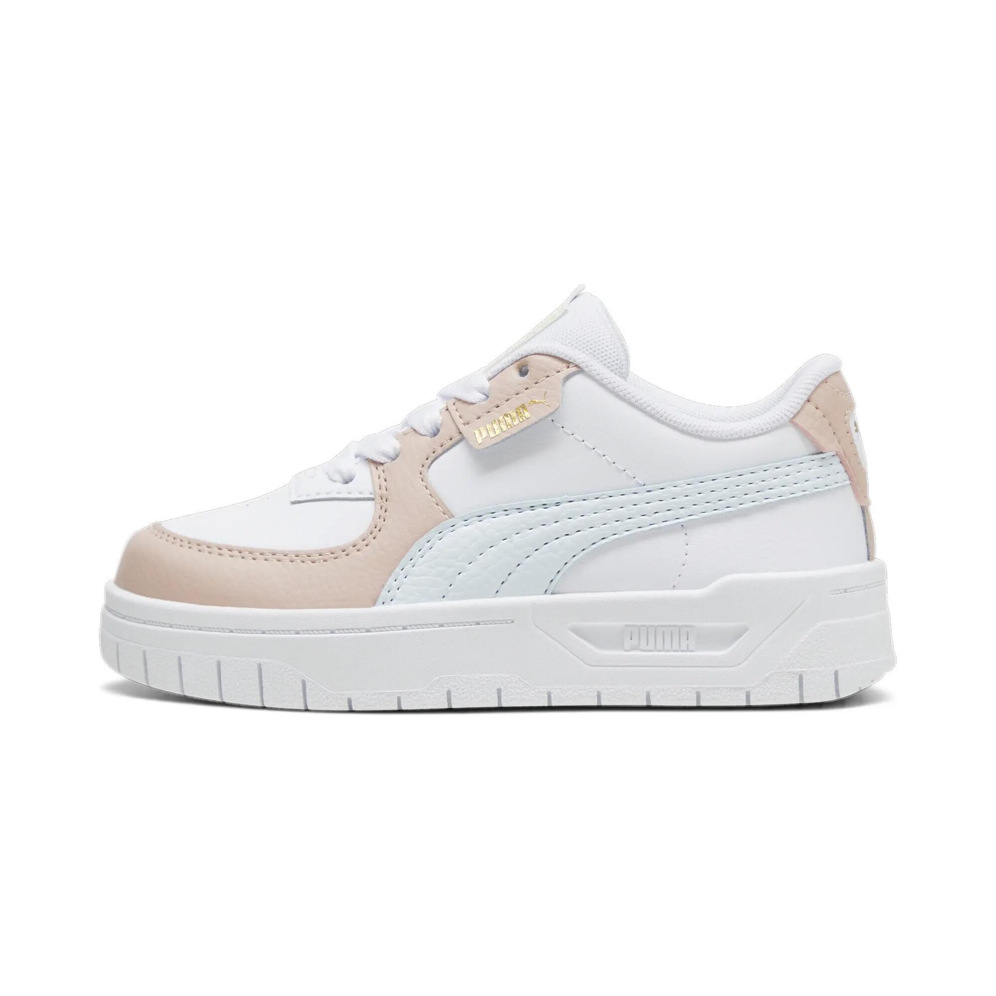 PUMA picture