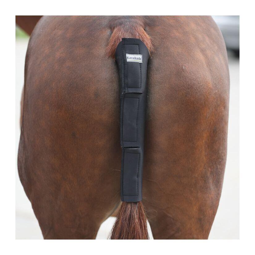Tail Guard kavalkade