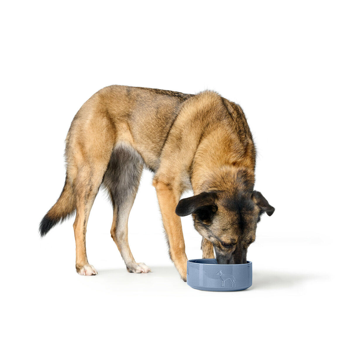 Comedouro para Cão Hunter OSBY GLAZED Azul 2/4