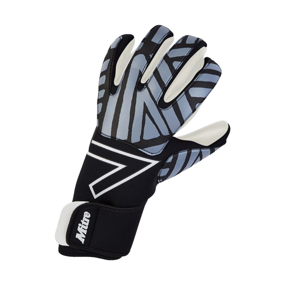 MITRE picture