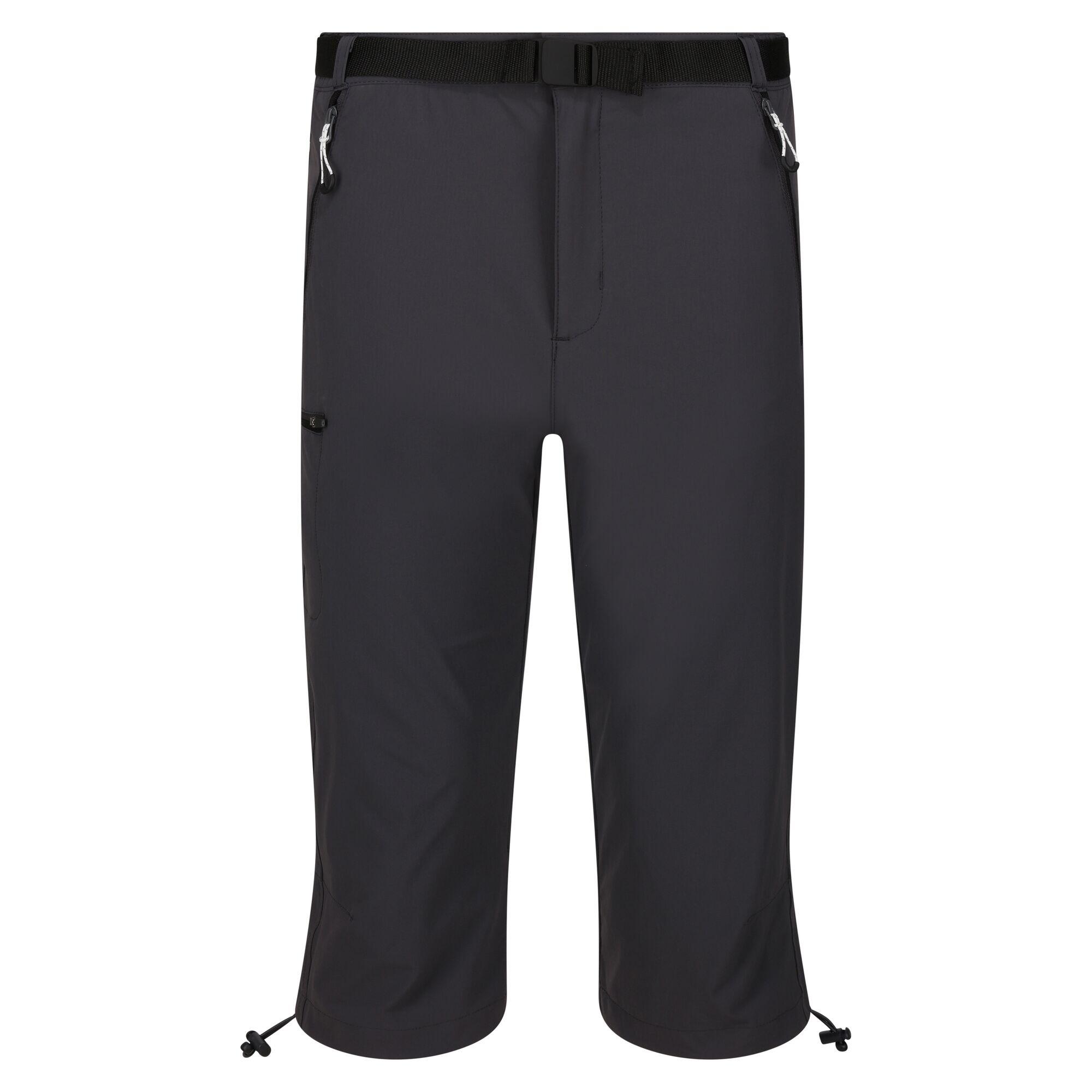 Regatta - Pantacourt Xert Stretch Homme (gris Phoque) - Short - Gris - 46 L/xl - Decathlon