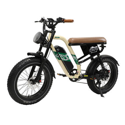 W66 Vélo Électrique Tout-Suspension – 48V 250W, Pneus 20×4, 65 Nm