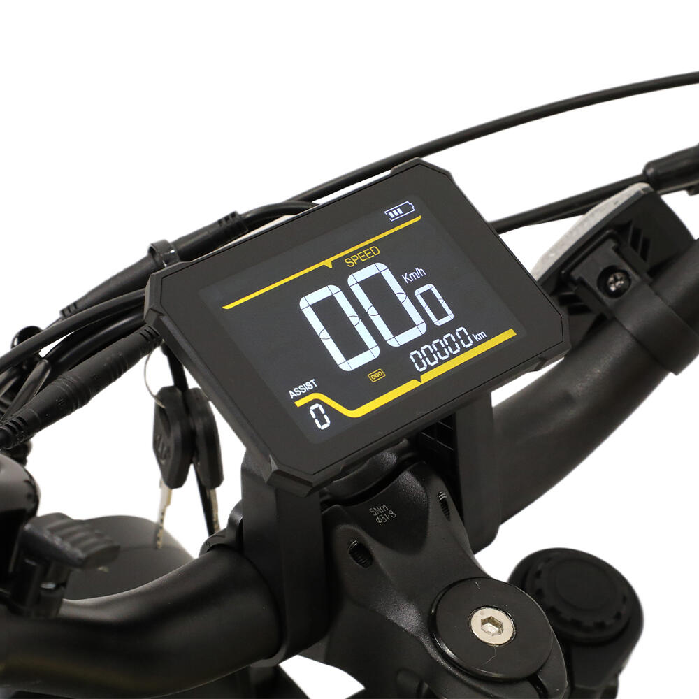 W66 E-Bike Fat Tire Full Suspension – 48V 250W, 20×4, 65 Nm 5/7
