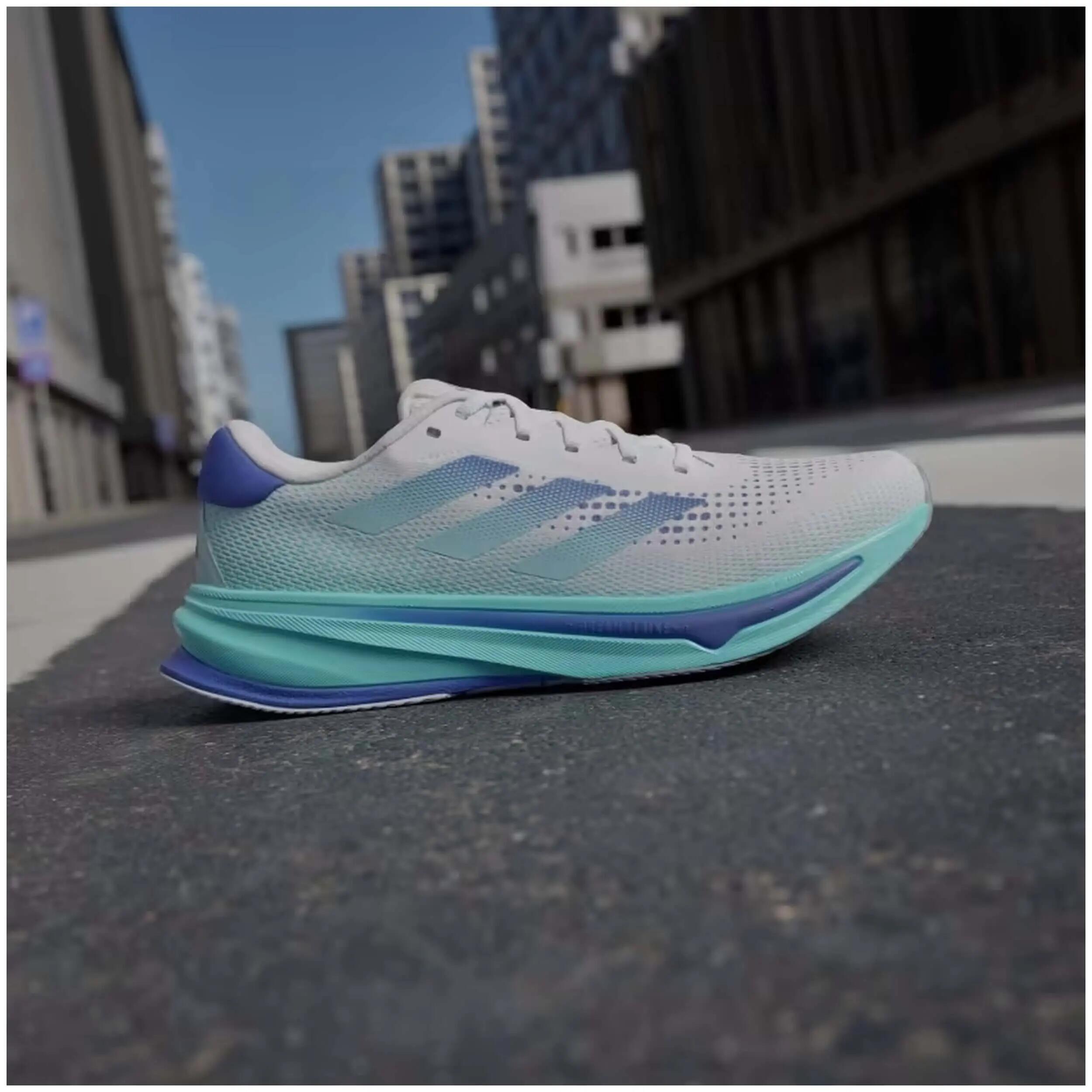 ADIDAS picture