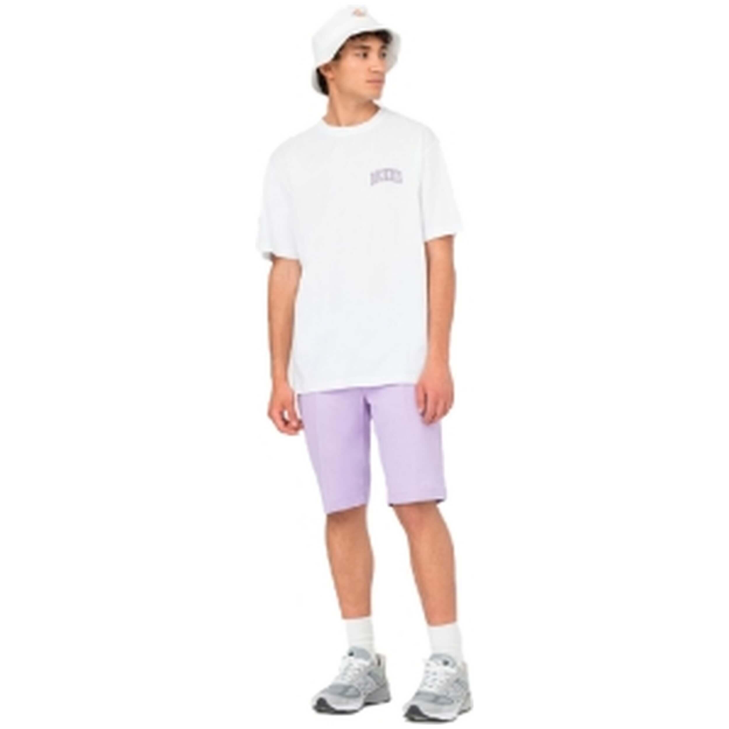 Short Dickies modèle DK0A4XNF-E61 pour homme 3/4