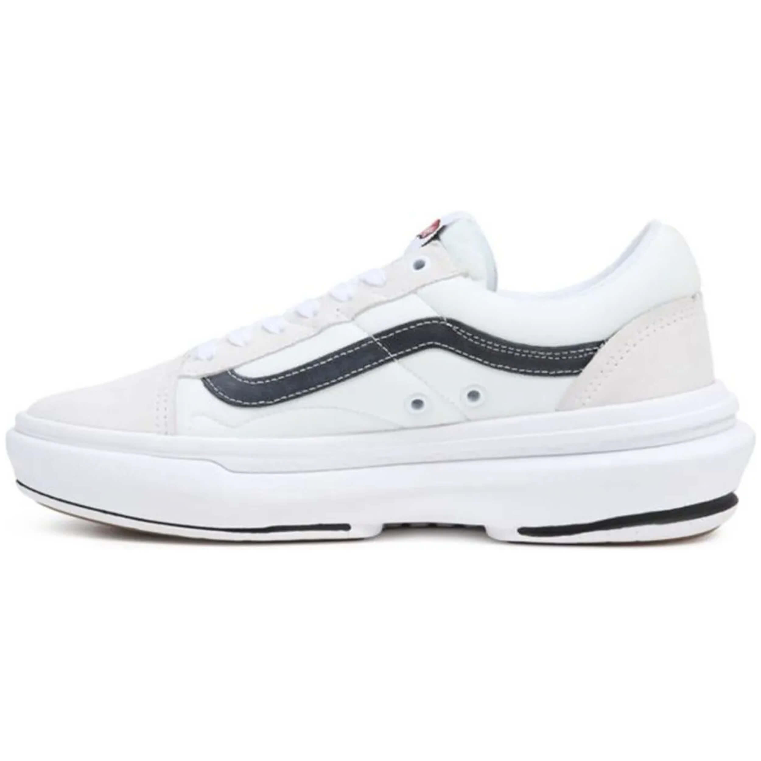 VANS picture