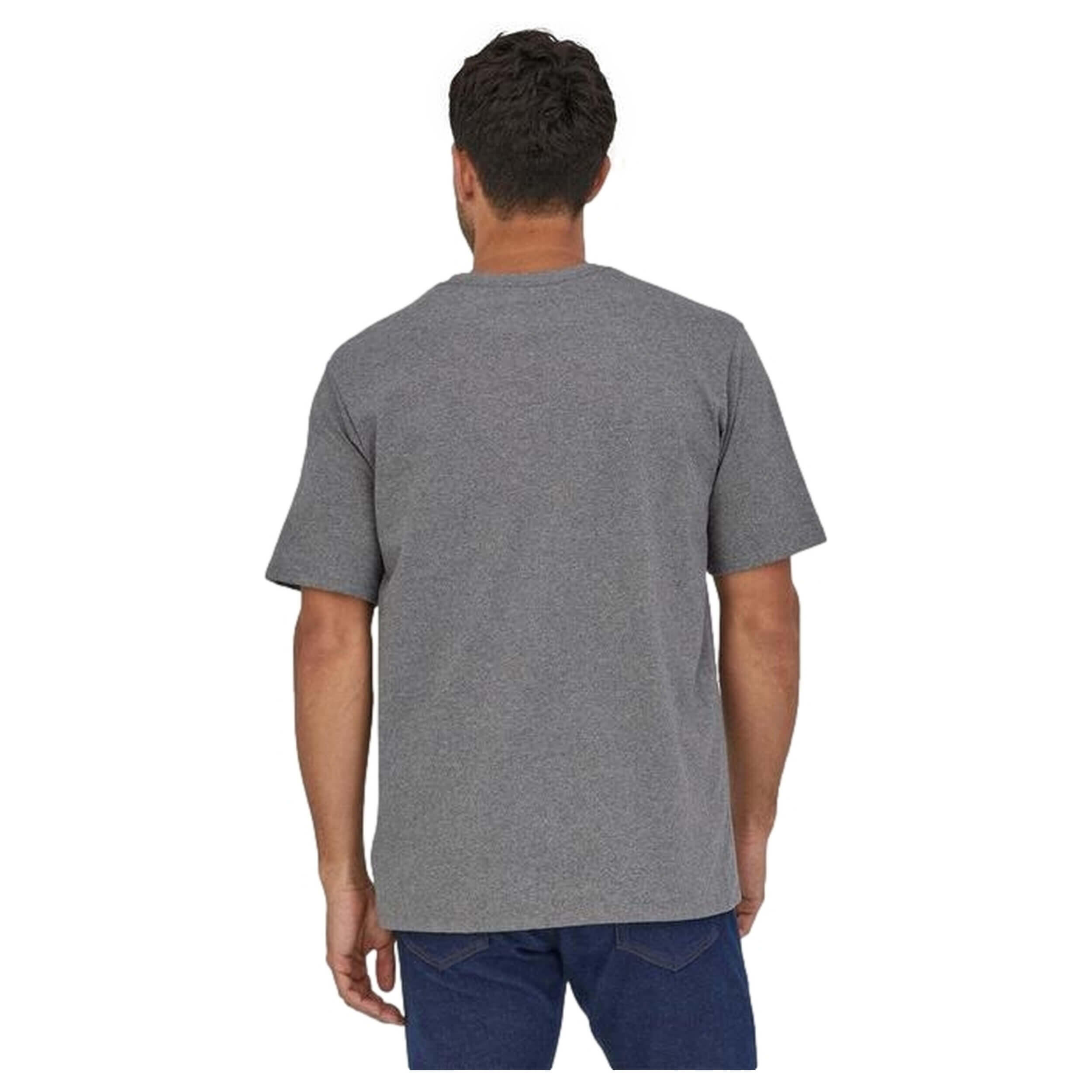 T-shirt Patagonia modèle 37533GLH pour homme 2/2