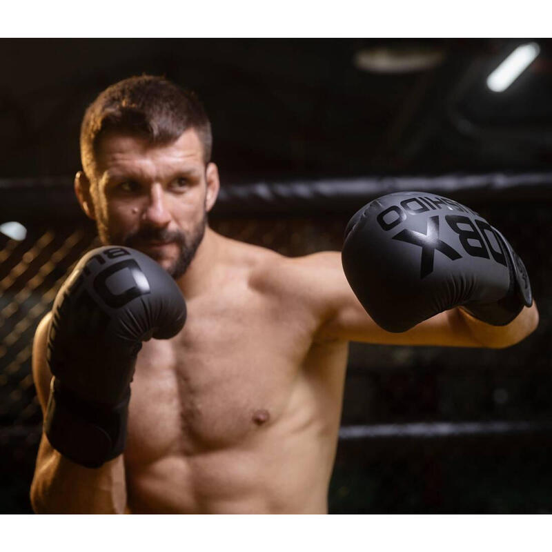Boxerské rukavice DBX BUSHIDO B-2v21 14oz