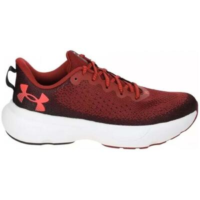 Zapatillas de running Under armour Infinite para hombre