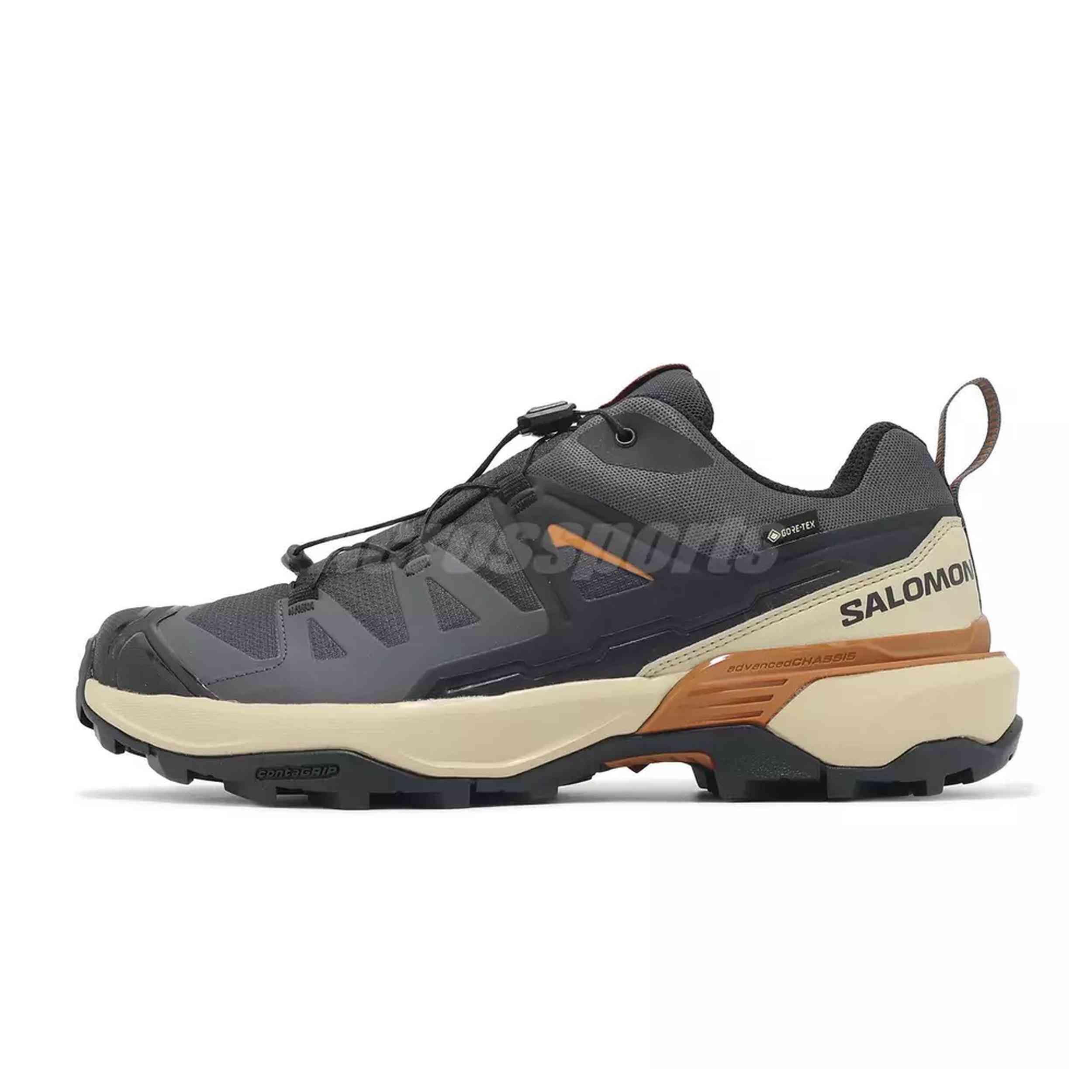 SALOMON picture