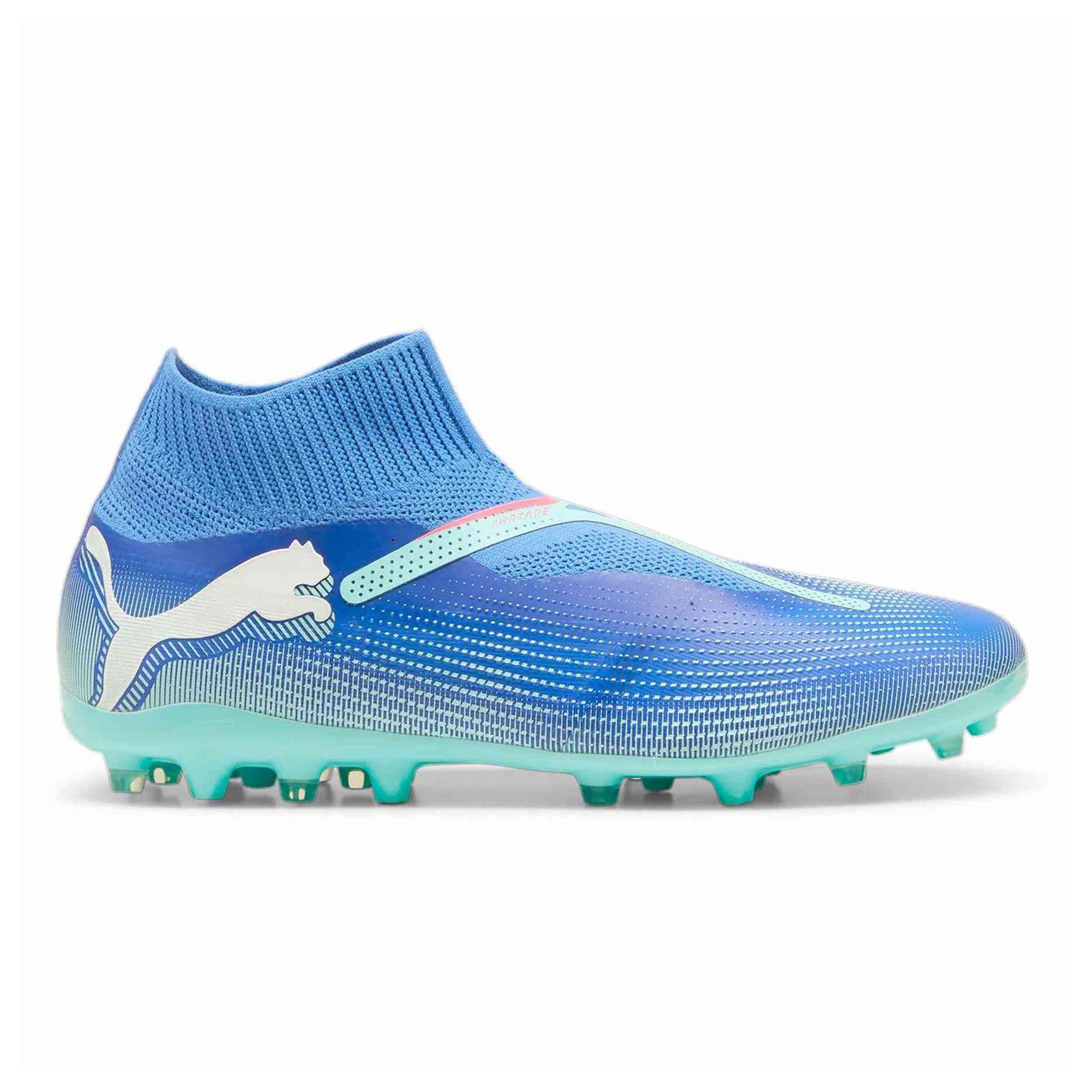 PUMA picture