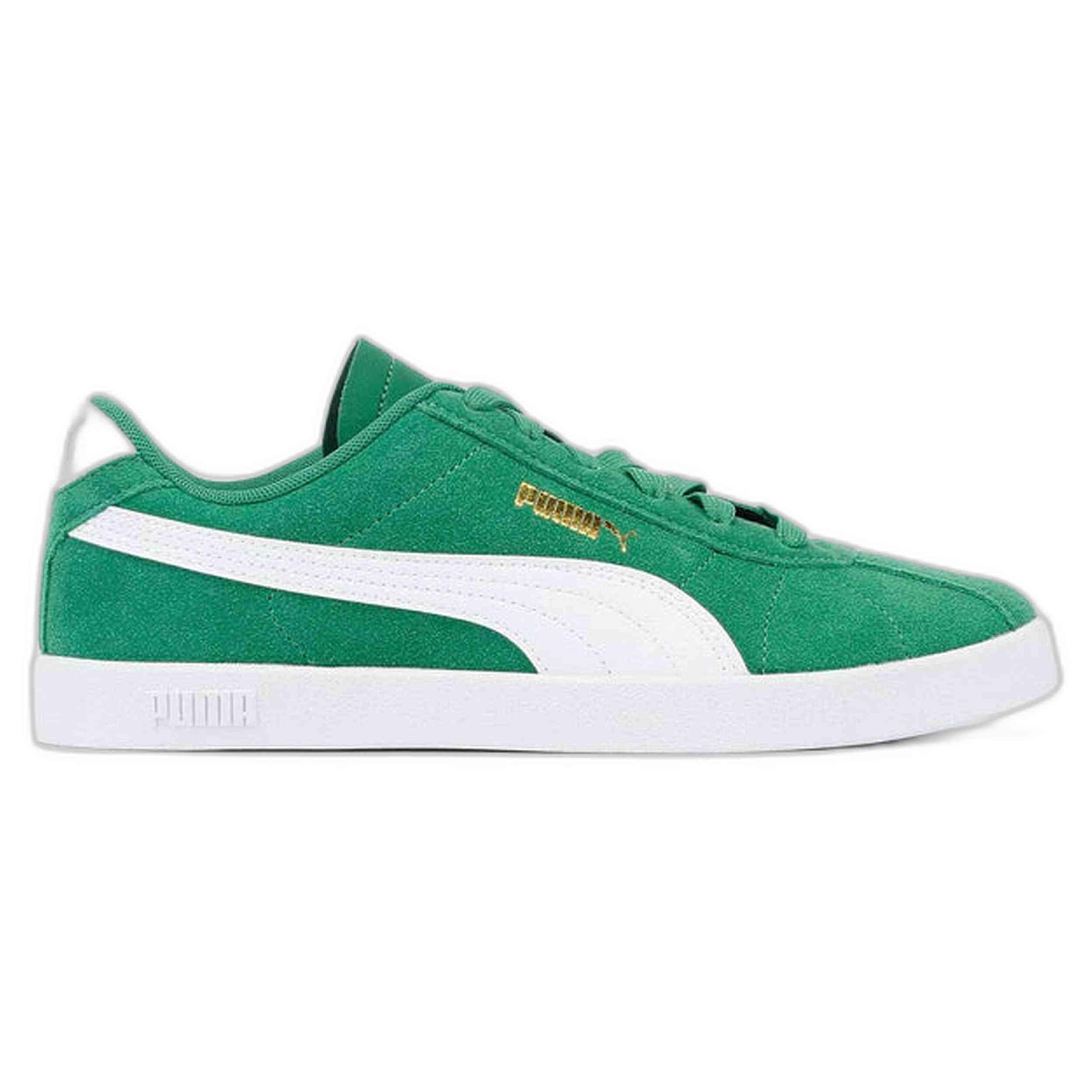 PUMA picture