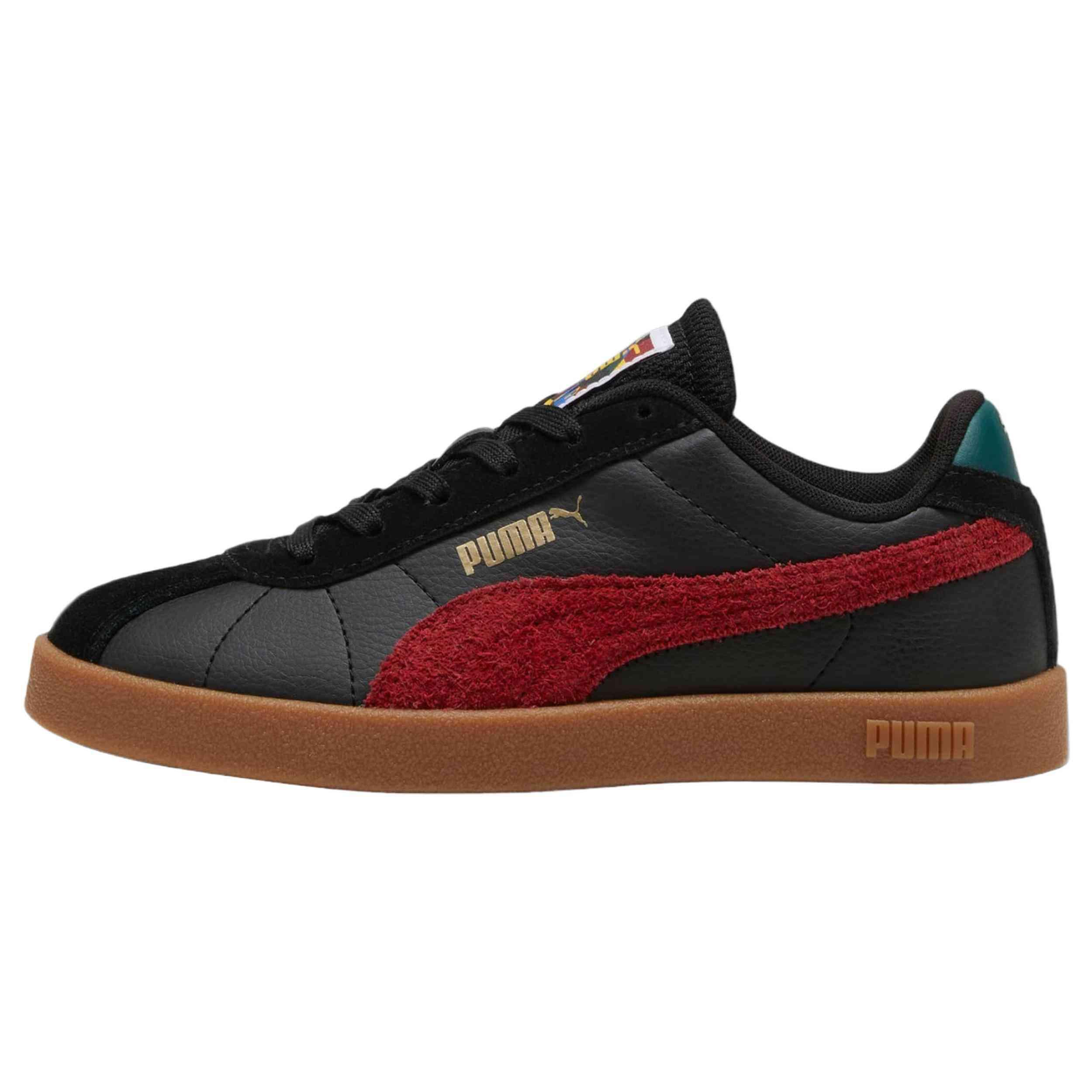 PUMA picture
