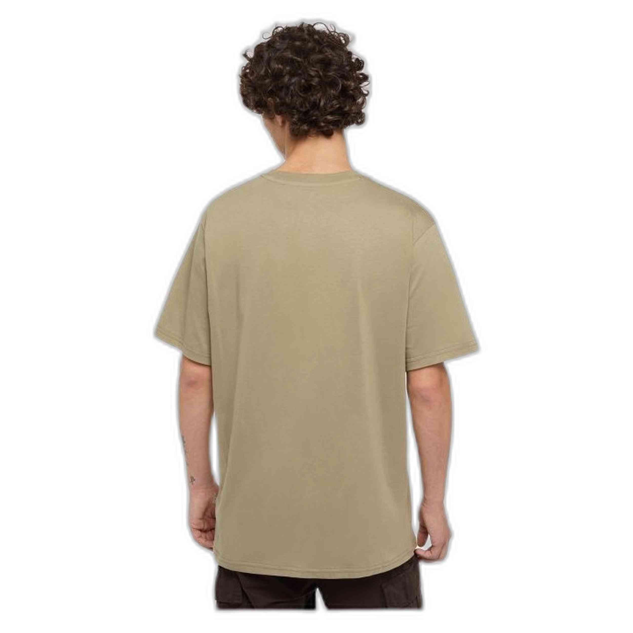 T-shirt Dickies modèle DK0A4XDB0IP1 pour homme 2/5