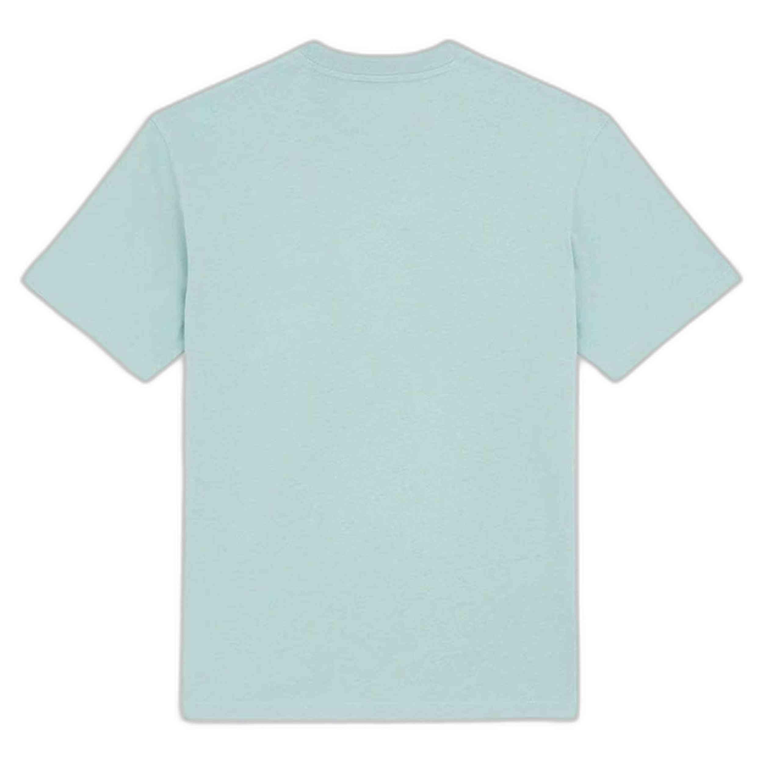 T-shirt Dickies modèle DK0A4YAIJ591 pour homme 2/2
