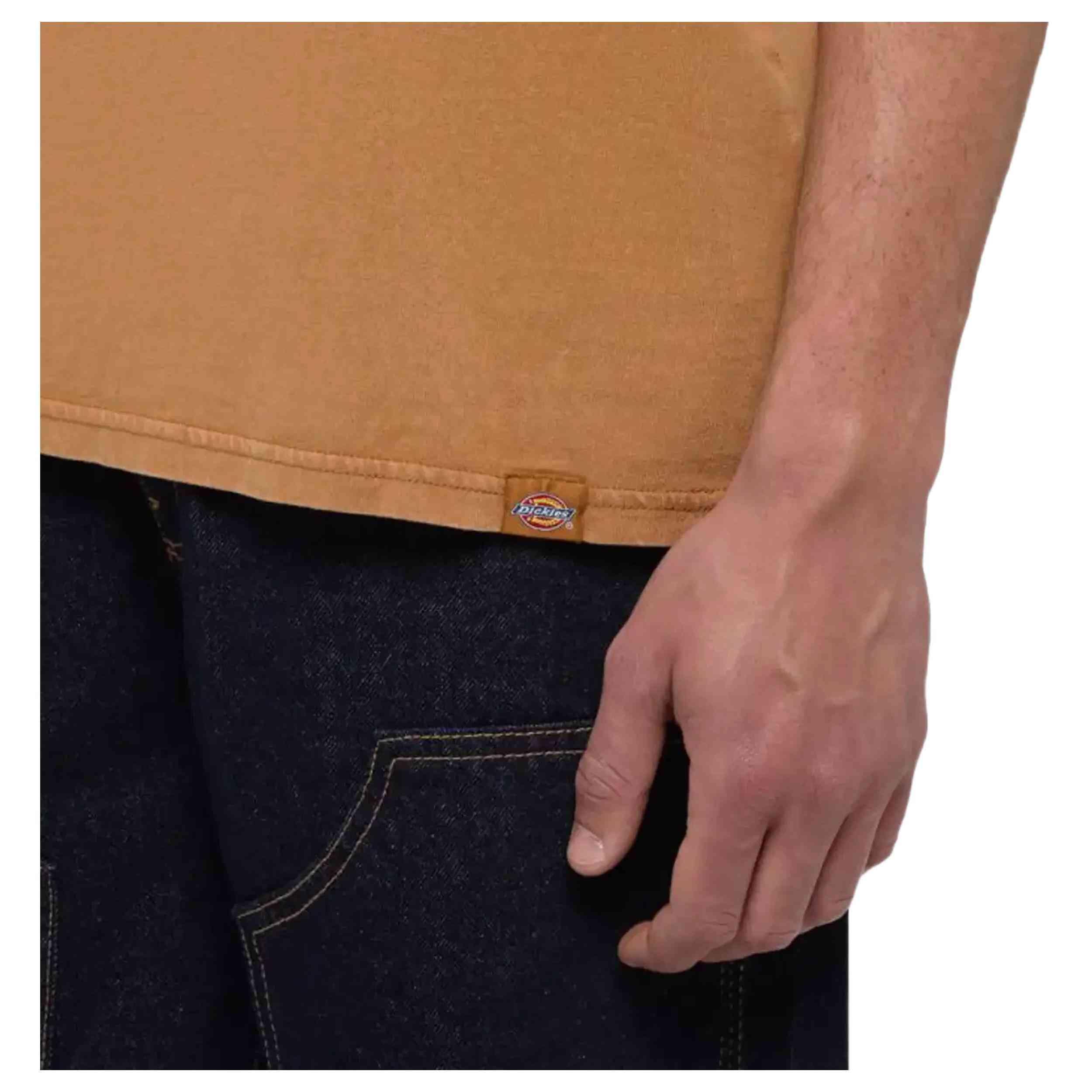 T-shirt Dickies Plentywood pour homme 3/4