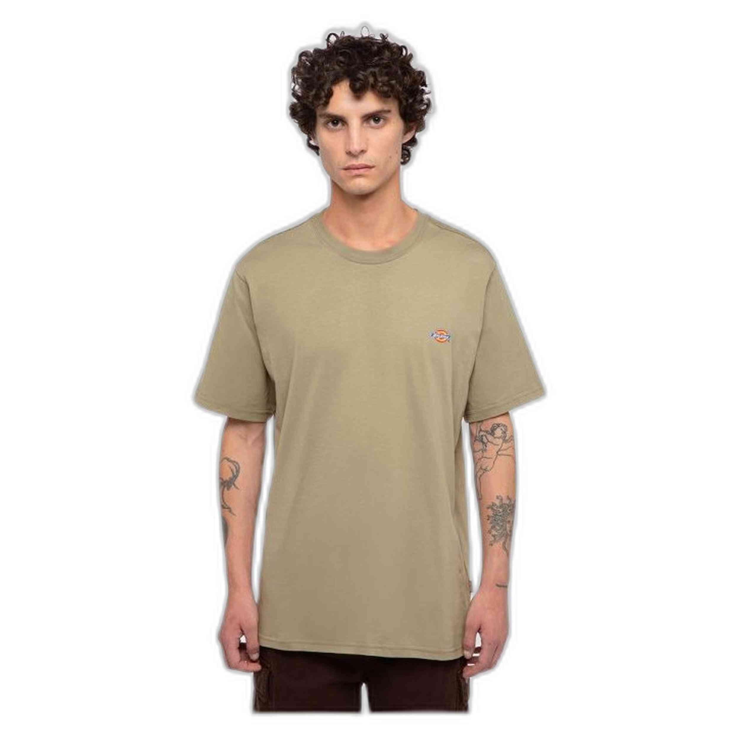 T-shirt Dickies modèle DK0A4XDB0IP1 pour homme 1/5